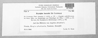 Erysiphe heraclei image